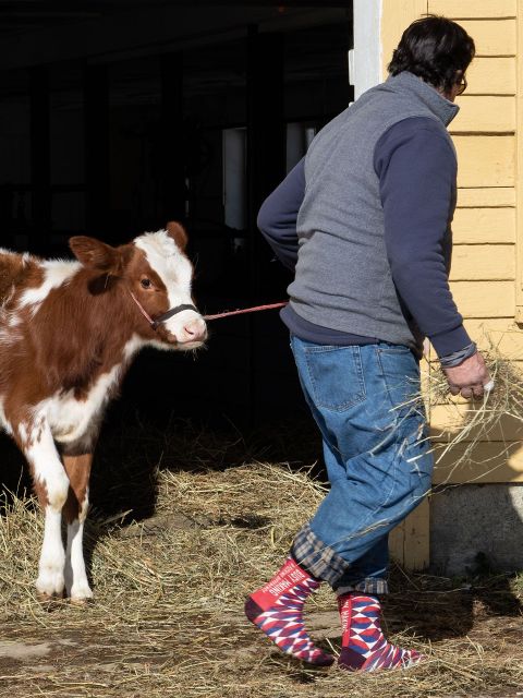 Image of Busy Making A Fucking Diffrence Men's-Crew Socks